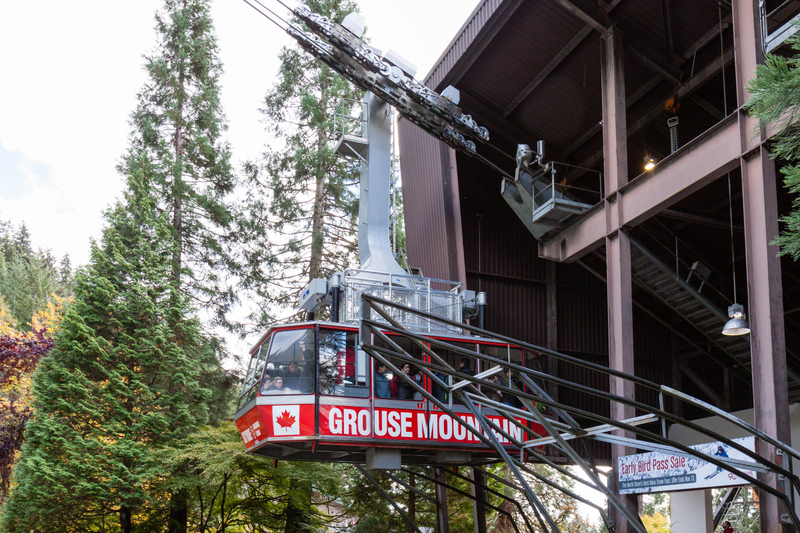 Illustration for article titled Pics from the (Mountain)side: 2016-10-10 at Grouse Mountain